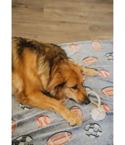 Jouet corde pour chien Jack