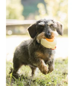 Jouet couineur pour chien Chicken