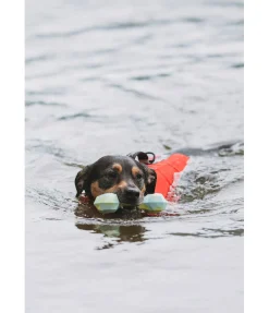 Jouet d'eau pour chien Marble Bone