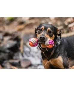 Jouet en corde pour chien Sepp