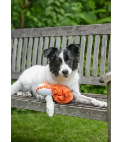 Jouet pour chien Chameleon