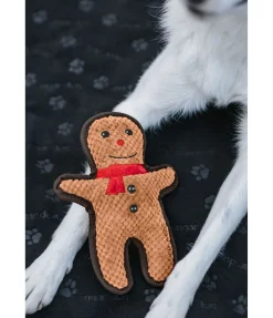 Jouet pour chien Gingerman