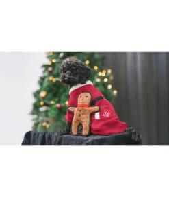 Jouet pour chien Gingerman