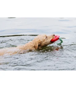 Jouet pour chien Mia