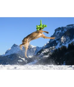 Jouet pour chien Strong Dino