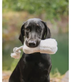 Jouet pour chiot Edda