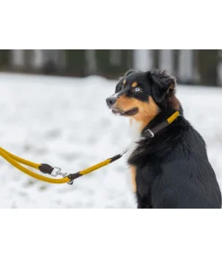 Laisse pour chien Rope