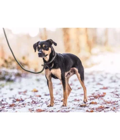 Laisse retriever Nature Rope