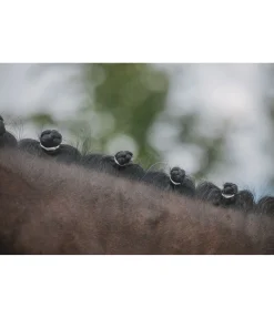 Élastiques larges pour crins