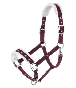 Licol Collection de Noël