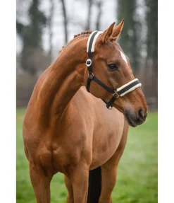 Licol Interchangeable