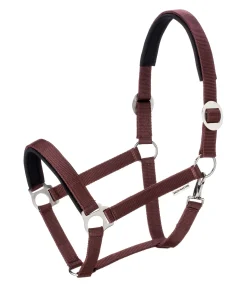 Licol Interchangeable