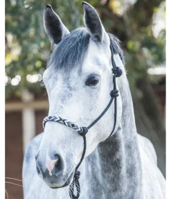 Licol à noeuds Beaded