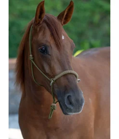 Licol à noeuds Lino