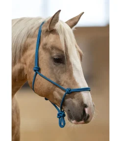 Licol à noeuds Quality