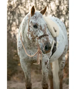Licol à noeuds avec rênes Mecate Merano