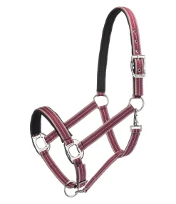 Licol Swiss Design II