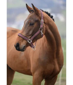 Licol Swiss Design II