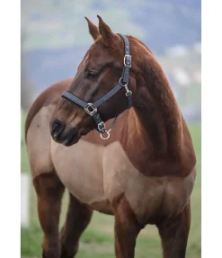 Licol Swiss Design II