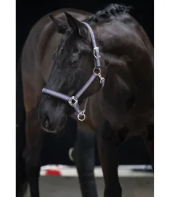 Licol Swiss Design II