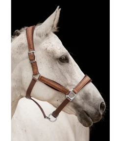 Licol Velvet Twinkle