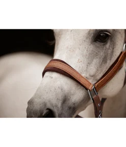 Licol Velvet Twinkle