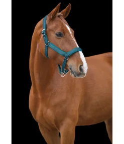 Licol anatomique Relaxation