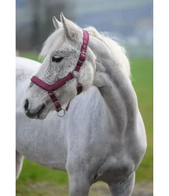 Licol anatomique Relaxation