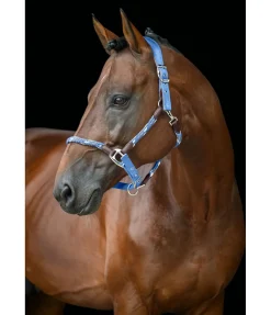 Licol anatomique Sophistication