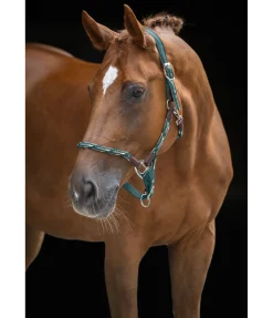 Licol anatomique Sophistication