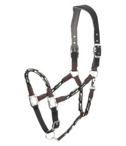 Licol anatomique Sophistication