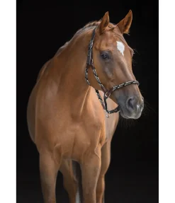 Licol anatomique Sophistication