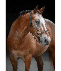 Licol anatomique Sophistication