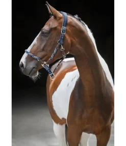 Licol anatomique Sophistication