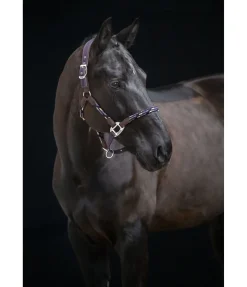 Licol anatomique Sophistication