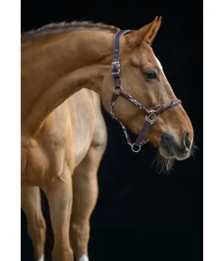 Licol anatomique Sophistication