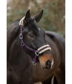 Licol avec polaire Teddy Better Together