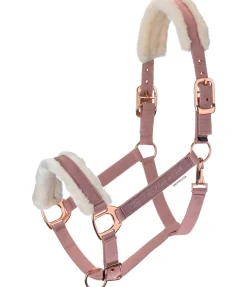 Licol avec polaire Teddy Better Together