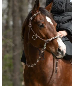 Licol de randonnée 3 en 1