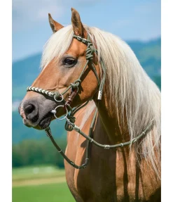 Licol de randonnée 3 en 1