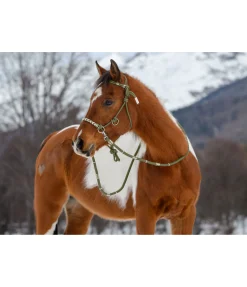 Licol de randonnée 3 en 1