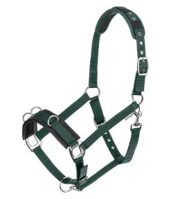 Licol de travail Freedom