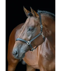 Licol en cuir Anatomical