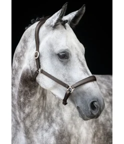 Licol en cuir Anatomical