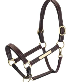 Licol en cuir Graveur