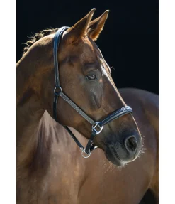 Licol en cuir Stitch