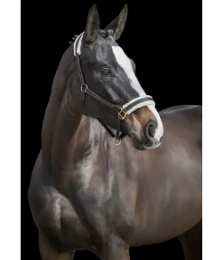 Licol en cuir avec polaire Teddy Stitch