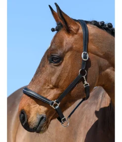 Licol en cuir orné de strass Selina