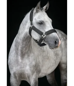 Licol en mesh Airflow