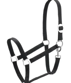 Licol en nylon à prix cassé